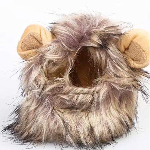 Pet Costume Lion Mane Wig for Dog Cat Halloween Dress up with Ears