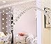 Woaills 1Set Luxury Crystal Glass and Stainless Steel Wire Beads Door String Tassel Curtain Wedding Divider Panel Room Home Decor 1 M (Clear)
