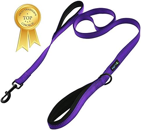 Wagtime Club Soft &Thick Dual Handle 6FT Dog Leash, Premium Nylon Double Padded Handles for Medium, Large or XLarge Dog (Reflective Vibrant Purple)