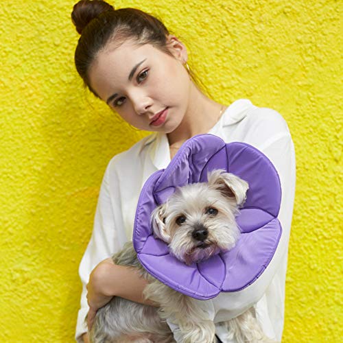 Alfie Pet Kora Recovery Collar (for Dogs and Cats) Color