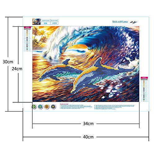 waitata DIY Oil Painting for Adults Kids Painting by Number Kit Digital Oil Painting (Dolphin, 16X20in)