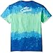 Liquid Blue Men's Simpsons The Cast Short Sleeve T-Shirt, Multi Tie Dye, Large