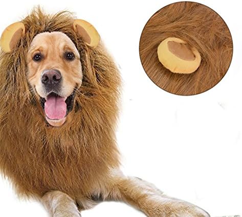Lylyzoo Dog Lion Mane with Ears, Fancy Lion Wig Costume for Medium Large Pets