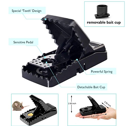 Highlight 6 Pack-Pest Control Mouse/Rat Traps,100% Kill Results, Safe & Sanitary Rodent Killer with Bait Cup