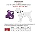 Downtown Pet Supply Step in Dog Harness for Small Dogs No Pull, Medium, Blue - Adjustable Harness with Padded Mesh Fabric and Reflective Trim - Buckle Strap Harness for Dogs