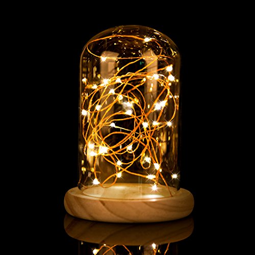 66ft 200 LEDs Copper Wire String Lights Dimmable with Remote Control, Waterproof Starry Lights for DIY, Outdoor, Bedroom, Patio, Garden, Gate, Party, Wedding, Barbecue (LED String Lights, Warm White)