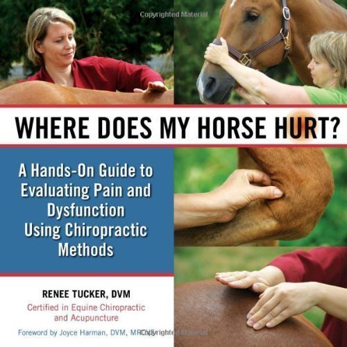 Where Does My Horse Hurt?: A Hands-On Guide to Evaluating Pain and Dysfunction Using Chiropractic Methods by Renee Tucker DVM (Jun 15 2011)