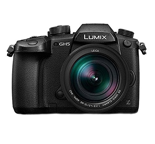 Panasonic-LUMIX-GH5-Lecia-12-60mm-Kit-w-64GB-UHS-II-VideoMic-Go