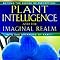 Plant Intelligence and the Imaginal Realm: Beyond the