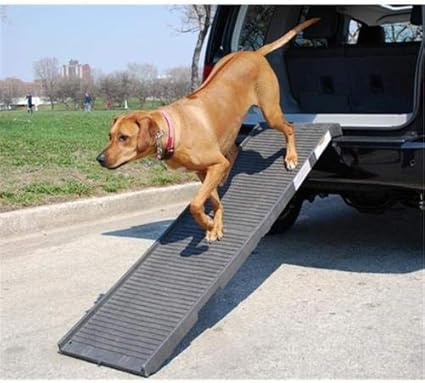 petstep ramp costco