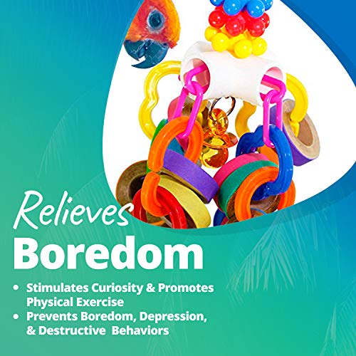 3 Super+Creations+SB1107+Bagel+Cascade