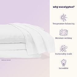 Sheets & Giggles 100% Eucalyptus Lyocell Sheet Set