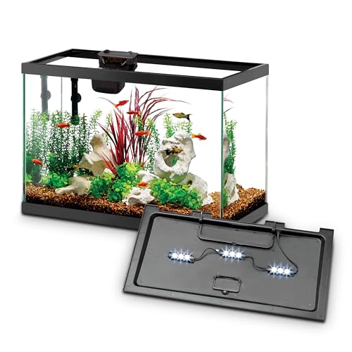 Aqueon Aquarium Starter Kit
