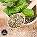 Naturevibe Botanicals Basil Leaves (100gm) [Packaging may vary]