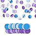 Fadesun Party Decoration Kit Purple Blue Tissue Paper Pom Poms Flowers Papers Lanterns Circle Garland Birthday Wedding Christening Frozen Theme Party Decorations for Adults Boys Girls