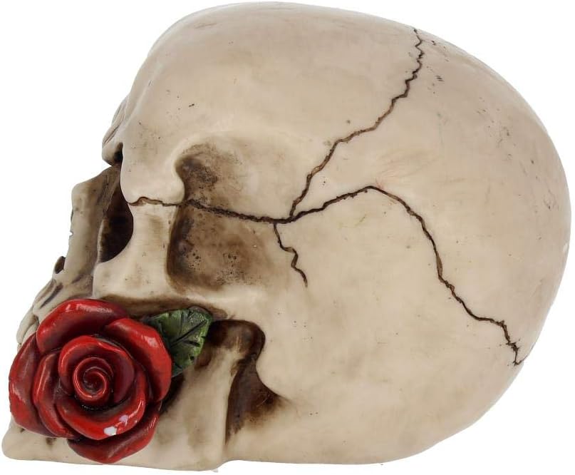 Nemesis Now NEM3721 Rose From the Dead Figurine 13.5cm Ivory, 15cm - Image 4
