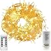 100 ft/30 Meters 300LEDs Fairy String Lights with Remote(Can Control: Mode,Timer,Dimmable,On/Off),4 x AA Batteries Operated Decor Backdrop Lights for Backyard Pergola Cafe Bistro Porch Umbrella Tents