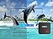 [2017] ANTSIR Android 6.0 TV Box A1 Amlogic S905X Quad core Cortex A53 2.0GHz 64bit 1G / 8G 4K Google Smart Media Player WiFi- HDMI