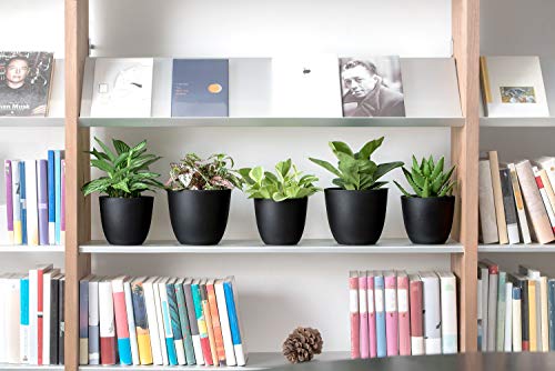 image for Mkono 6.5 Inch Plastic Planters Indoor Set of 5 Flower Plant Pots Mode