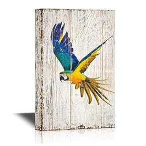 Birds and Poultry Canvas Wall Art - Flying Colorful Parrot - Vintage Wood Style Giclee Print Gallery Wrap Modern Home Art | Ready to Hang - 12x18 inches