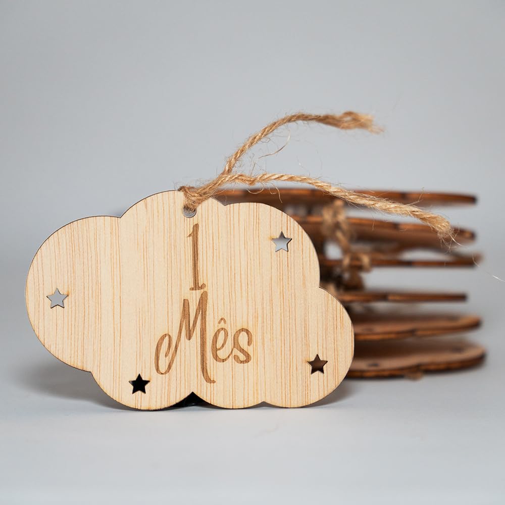 B.BachVibes - Emblemas de bebê de Madeira - Conjunto com 14 discos mensais - Ideal para fotos de recém-nascidos e presente para chá de bebê (Portuguese)
