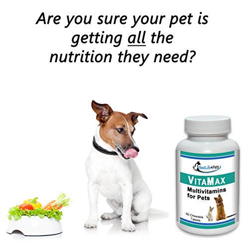 VitaMax Multivitamins for Dogs and Cats; Advanced Nutrition Pet Vitamin Supplement Improves Health of Coat and Skin, Increases Energy, Boosts Your Pet's Immunity and Aids Digestion - 60 Chews - Thumbnail 4