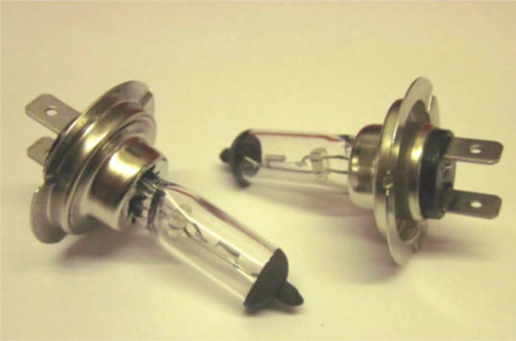 Focus Headlight Bulbs 2001-2010 (Dipped 