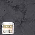 VASARI Lime Plaster & Paint | LIME PAINT | Made from Natural Lime and Powdered Marble | color: Carbon Black #27 | size: 1 Quart