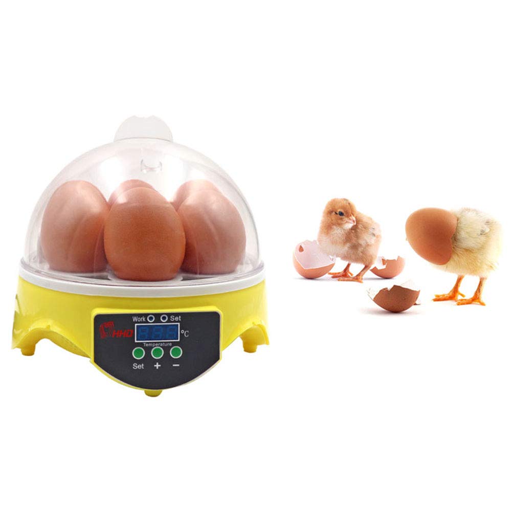 Automatic Mini Chicken Egg Incubator 7 Eggs, Poultry Hatching Incubator with Temperature Control & Humidity Display for Hatching Quail, Duck, Bird Eggs