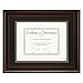 Craig Frames 11x14-Inch Dark Mahogany Document Frame, Double Mat with Single 8.5x11-Inch Opening