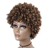 Lady Miranda Afro Kinky Curly Brown Mixed Light Brown Color Short Curly Wig Synthetic Wigs for Women