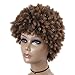 Lady Miranda Afro Kinky Curly Brown Mixed Light Brown Color Short Curly Wig Synthetic Wigs for Women