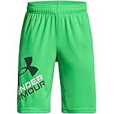 Under Armour Boys' Prototype 2.0 Logo Shorts