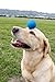 Arospa Colorful Super Bouncy Rubber Dog Fetch Ball 5 Colors/Pack (Colorful)