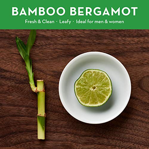 Natural Hand & Body Lotion by DANI Naturals - Clean Bamboo Bergamot Scented Aromatherapy - Moisturizing Shea Butter & Aloe - with Natural & Organic Ingredients - For Men & Women - 12 Ounce Bottle - Thumbnail 2