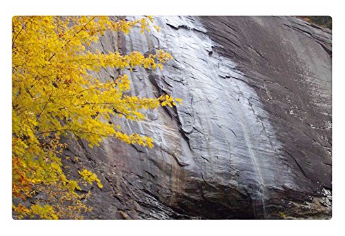 Rock Bull Doormat - Autum Falls, 23.6