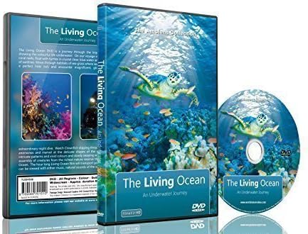Amazon.com: Nature DVD - Ocean Waves with Natural Sea Sounds : The