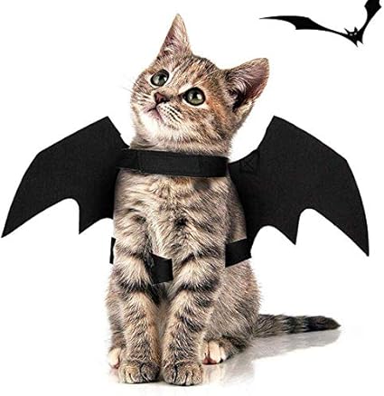 Halloween Haustier Kostüm - Fledermaus Flügel Für Hunde & Katzen Mit Kürbis Glöckchen