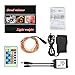 33ft LED String Lights Dimmable with Remote Control, ALPULON Waterproof Lights for Christmas Decorations,Parties,Bedroom,Patio,Garden,Gate,Yard,Outdoor(Copper Wire Lights, Warm White)
