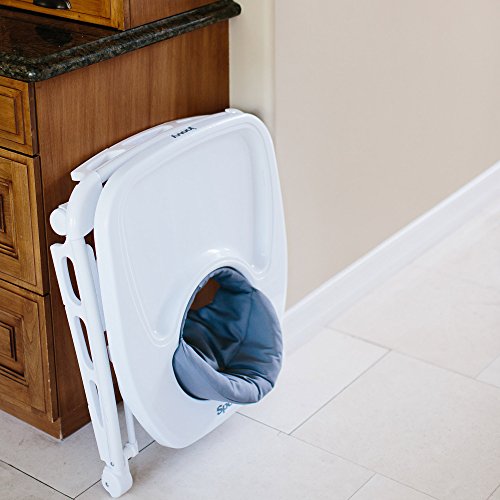 4 Joovy+120+Spoon+Walker+Blueberry