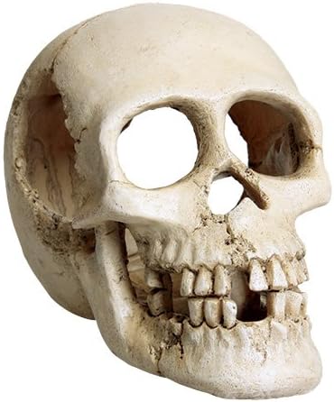 skull aquarium decorations