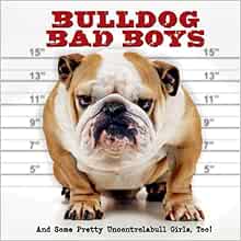 bad bulldog