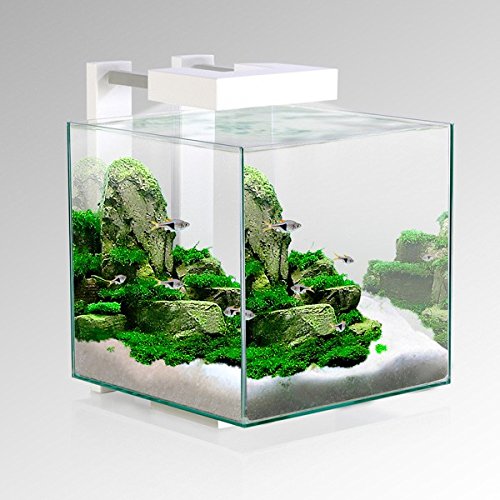cube aquarium