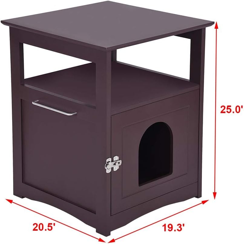 crate a cat at night