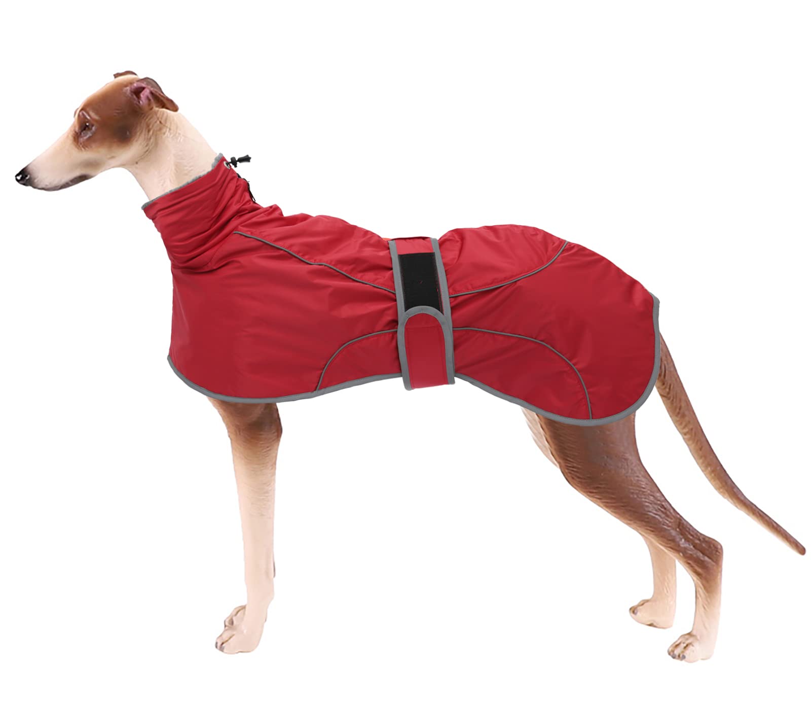 Geyecete Whippet and Greyhound Winter Coat With Warm Fleece Lining - Outdoor Apparel With Adjustable Bands for Medium, Large Dogs - Red-XXL