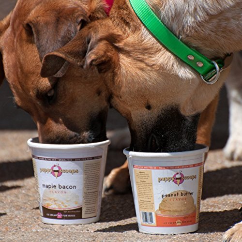 Useful Canine Training Tips & Tools 6 Puppy Scoops Ice Cream Mix for Dogs: Peanut Butter - Add Water and Freeze at Home