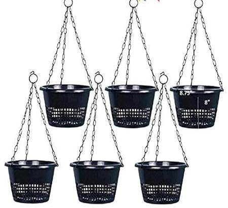 Orchid Hanging Pot with Metal Chain (Pack of 6) - TT Traders