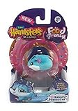 NEW! Zuru Hamsters In a House - SCOOPS