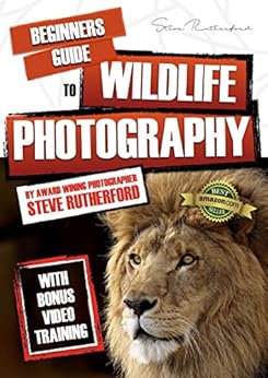 Amazon.com: Beginners Guide to Wildlife Photography