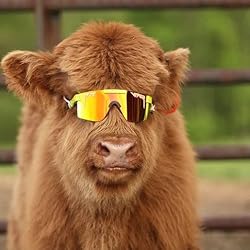 Pit Viper The Original Sunglasses Wide Fit